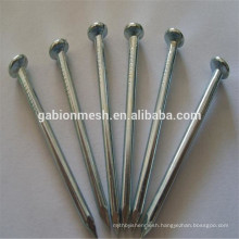Hot sale hardened steel concrete nails/steel concrete nails china supplier